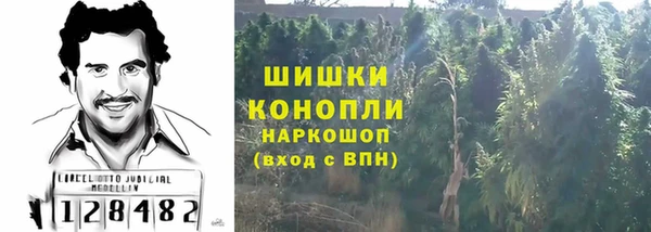 хмурый Бронницы