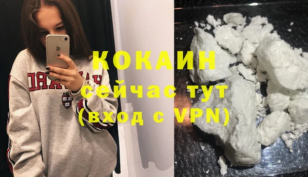 индика Апатиты