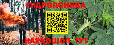 не бодяженный Будённовск