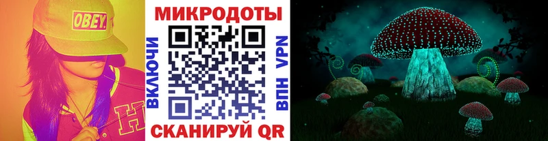 Псилоцибиновые грибы Magic Shrooms  магазин    Буйнакск 