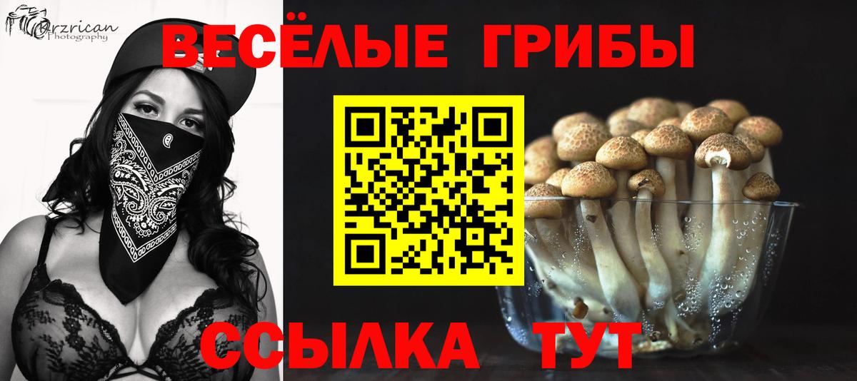 Псилоцибиновые грибы мухоморы Буйнакск