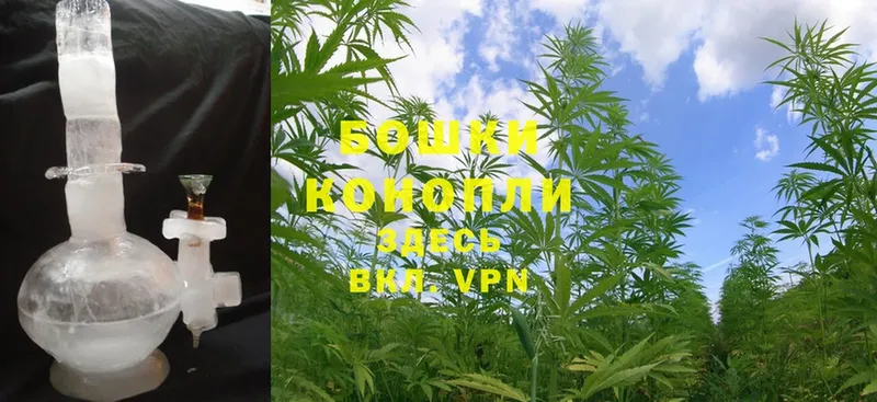 Бошки Шишки Ganja  купить наркоту  Буйнакск 